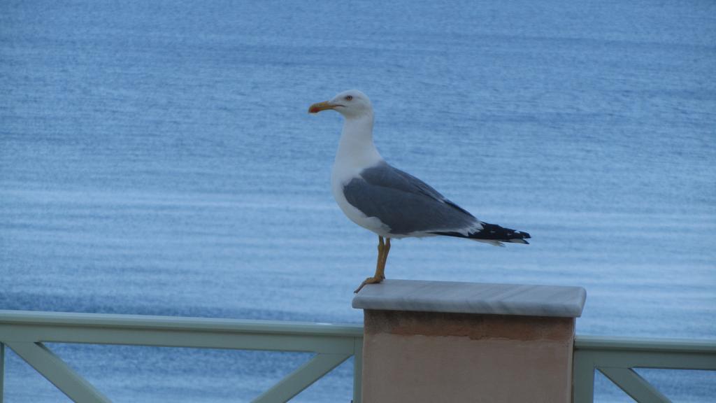 Apollonos Seafront Apartment Ermupoli Zewnętrze zdjęcie
